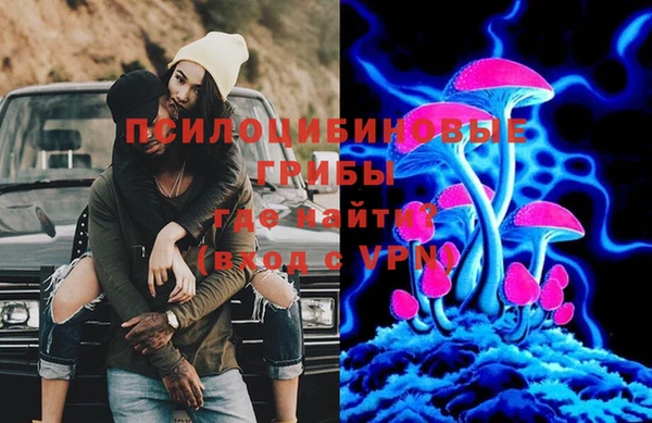 не бодяженный Карпинск