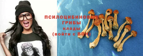 не бодяженный Карпинск